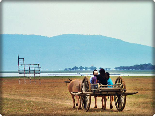 บ้านอนุรักษ์ควายไทย .. บ้านโนนสว่าง อ.ภูเวียง จ.ขอนแก่น