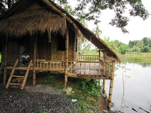 เกษตรพอเพียง .. บ้านสวนสวรรค์โฮมสเตย์ อ.นาวัง จ.หนองบัวลำภู