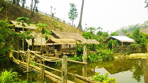 ชุมชนบ้านปางแดงใน อ.เชียงดาว จ.เชียงใหม่