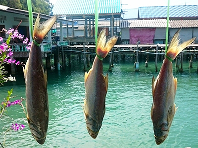 อาหารมื้อต่อไป ที่ โฮมสเตย์ท้องตมใหญ่ จังหวัดชุมพร