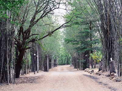 ภูผาตาด บ้านที่ไม่มีรูปแบบ และไม่มีแบบแผน ทุกอย่างสุดแล้วแต่จินตนาการ