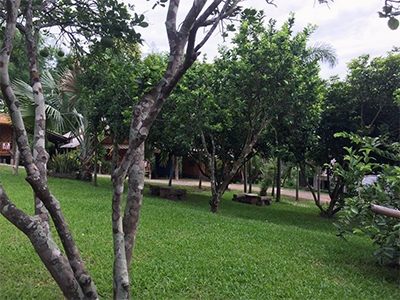 ภูจินดาโฮมสเตย์ เชียงใหม่ .. ที่พัก บ้านดิน สวนสวย ติดดอย