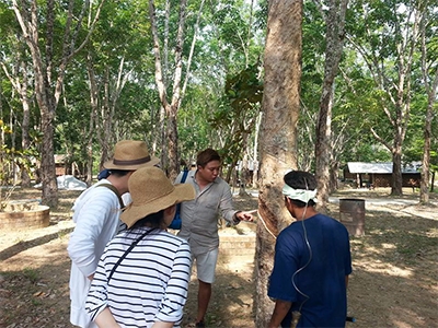 พิพิธภัณฑ์ในพื้นที่รวม 1,500 ไร่ 40 อาคาร เป็นแหล่งเรียนรู้ รากเหง้าความเป็นชาวอันดามัน