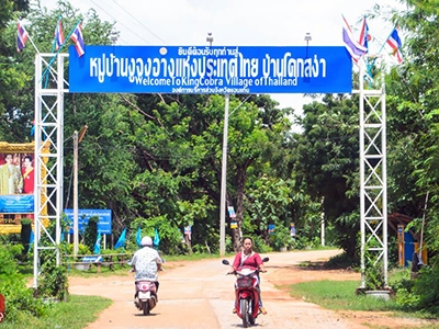 บ้านโคกสง่า โฮมสเตย์ ขอนแก่น (หมู่บ้านงูจงอาง)