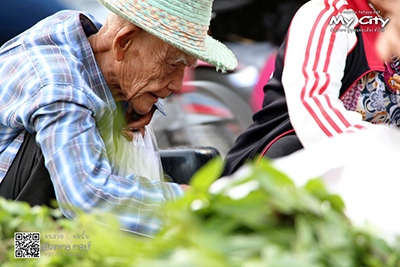 เดินเล่นตลาดเช้า เมือง คนสวย โพธาราม