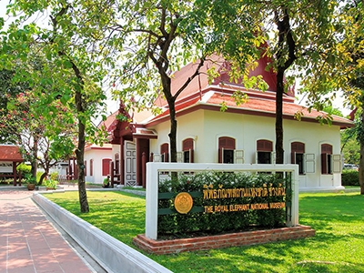 พิพิธภัณฑ์สถานแห่งชาติ ช้างต้น