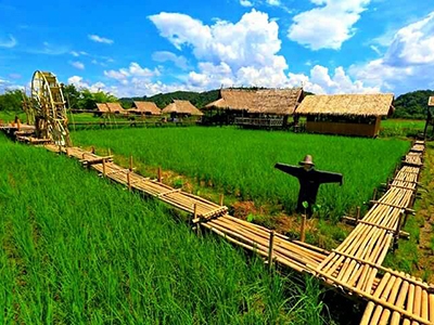 เจียงดารา บ้านทุ่งหลุก เชียงดาว