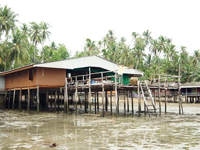 ป้าเขียว เกาะพิทักษ์ โฮมสเตย์