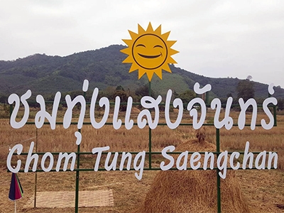 ชมทุ่งแสงจันทร์ โฮมสเตย์ บ้านม่วง หนองคาย