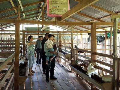 มณีรัตน์ฟาร์มแพะ & โฮมสเตย์ ภูเก็ต Maneerat goat farm & homestay