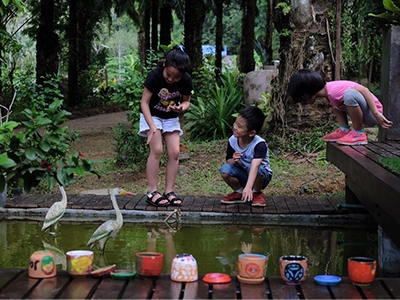 ต้นปาล์ม ฟาร์มสเตย์ กระบี่ Tonpalm Farmstay