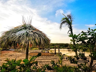 พลิ้ว ฟาร์มสเตย์ ควนเนียง สงขลา Phliu Farmstay