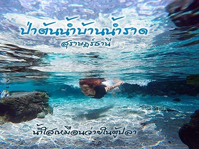 ป่าต้นน้ำบ้านน้ำราด สุราษฏร์ธานี