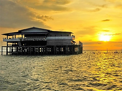 สินมานะฟาร์มสเตย์ สุราษฏร์ธานี