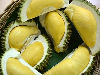 สวนคุณไพบูลย์ ระยอง