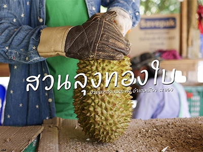 สวนลุงทองใบ สวนผลไม้ท่องเที่ยวเชิงเกษตร ระยอง