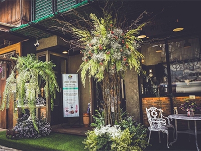 ต้น กาแฟ แอท 517 โพธาราม