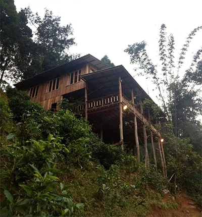 ภูเมี่ยงคำ โฮมสเตย์ บ้านแม่แมะ เชียงดาว เชียงใหม่