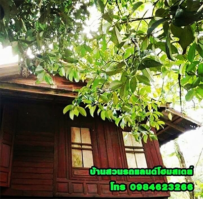 บ้านสวนรถแลนด์ Homestay นครนายก