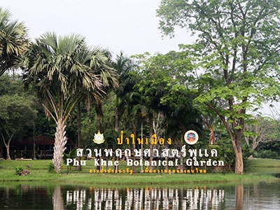สวนพฤกษศาสตร์พุแค และ ตลาดในสวนชิมเพลินเดินไพร สระบุรี