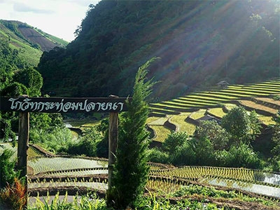 โกวิท กระท่อมปลายนา แม่แจ่ม เชียงใหม่
