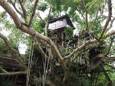 拜县树屋度假酒村 บ้านต้นไม้ปาย รีสอร์ท 泰国酒店