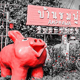 บ้านชมพู่ โฮมสเตย์ อัมพวา
