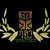 เครือข่ายเกษตรยั่งยืนตำบลหนองแคน ปทุมรัตน์ ร้อยเอ็ด