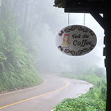 Teddu Coffee Baansuphanbhum แม่กำปอง