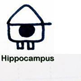 Hippocampus เชียงดาว