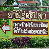 บ้านไร่ตับเต่า ฟาร์มสเตย์ ปากช่อง