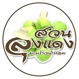 สวนลุงแดง มะพร้าวน้ำหอม บางคล้า แปดริ้ว