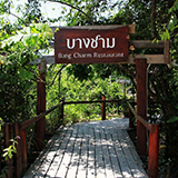 ร้านบางชาม พัทลุง