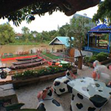 แพอาหารพันธ์ไม้สายน้ำ บางปลาม้า สุพรรณบุรี