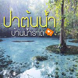 ป่าต้นน้ำบ้านน้ำราด สุราษฏร์ธานี