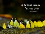 มิถุนายน 2561 ปฏิทินท่องเที่ยวชุมชน