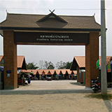 ตลาดผลไม้บ้านไร่ม่วง จ.เลย