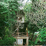 อุ้มฮุ่ม Homestay & Organic Farm ฝาง เชียงใหม่
