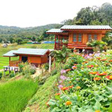 บ้านพัก แม่กลางหลวงวิว