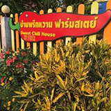 บ้านพริกหวาน ฟาร์มสเตย์ ท่าขันทอง เชียงแสน เชียงราย