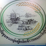 ข้าวหอมดิน ภูอังคาร นางรอง บุรีรัมย์