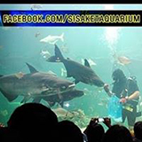 ศูนย์แสดงพันธุ์สัตว์น้ำ ศรีสะเกษ Sisaket Aquarium