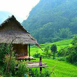 โกวิท กระท่อมปลายนา แม่แจ่ม เชียงใหม่